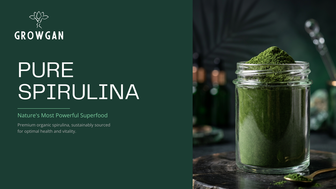 Why Students Should Add Spirulina to Their Daily Routine.