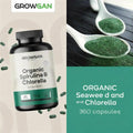 100% Natural Spirulina Capsules.